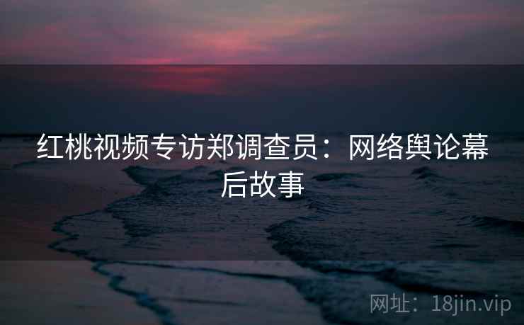 红桃视频专访郑调查员：网络舆论幕后故事