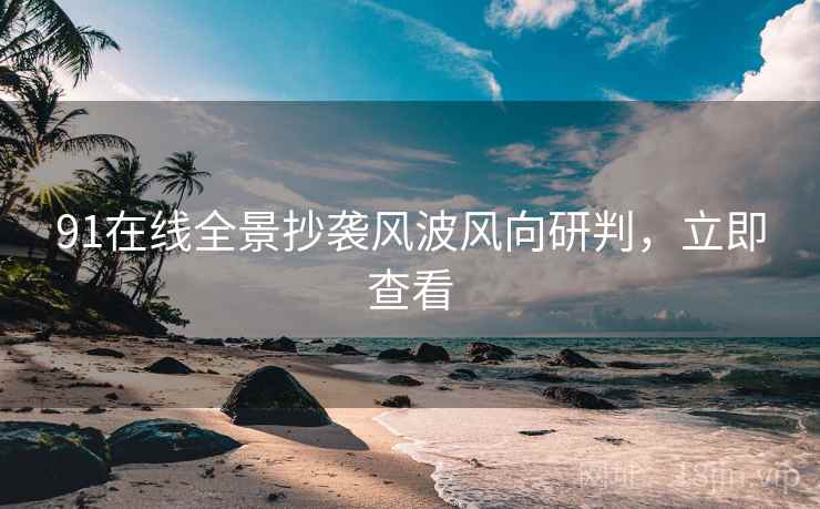 91在线全景抄袭风波风向研判，立即查看
