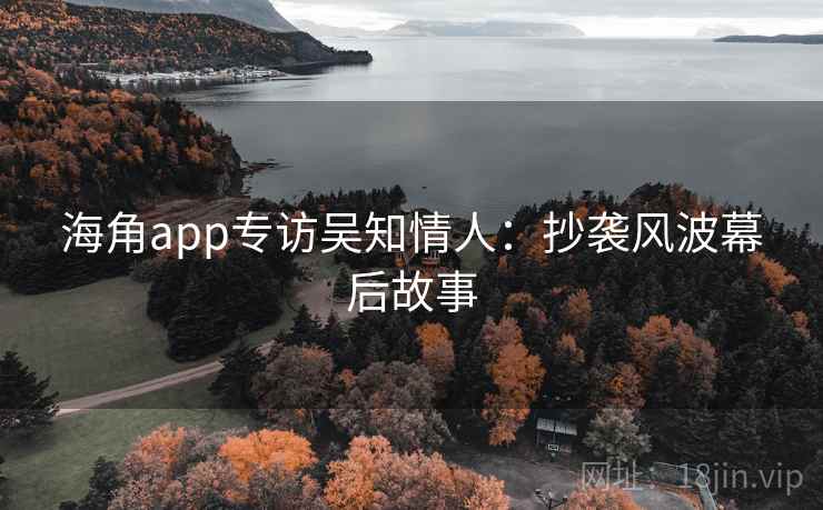 海角app专访吴知情人：抄袭风波幕后故事