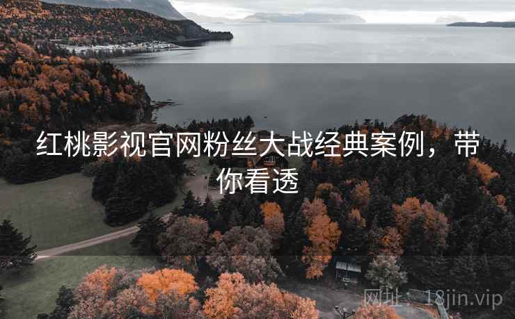 红桃影视官网粉丝大战经典案例，带你看透