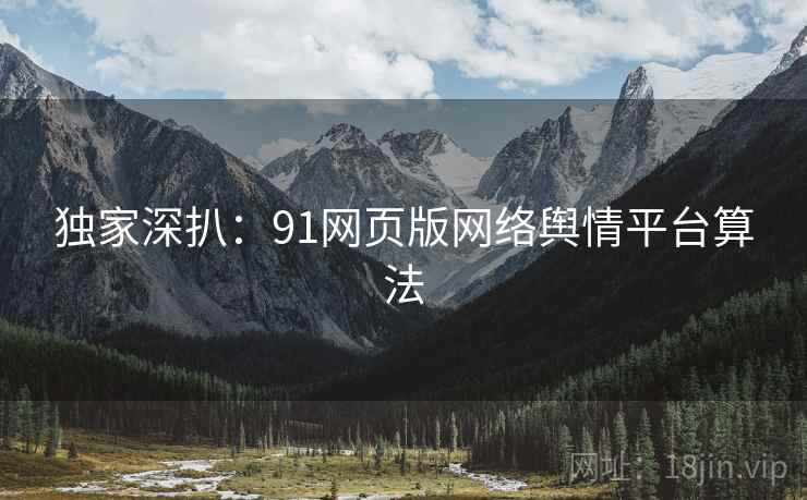 独家深扒：91网页版网络舆情平台算法